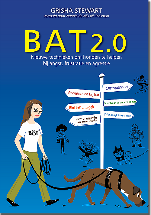 BAT 2.0